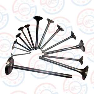 xYuchai-F3000-Exhaust-Intake-Valve-F3000-1003111A-F3000-1003103A.jpg.pagespeed.ic_.EfdYE-X-Or.jpg