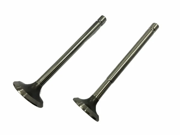 3040830-Exhaust-Valve-for-Cummins-NTA855-Engines.244.3-1.webp 3040830-Exhaust-Valve-for-Cummins-NTA855-Engines.244.3-1.webp
