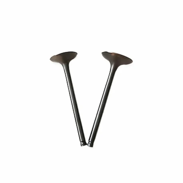 3802355-Cummins-Intake-Valve-Kit-For-4BT-6BT-Engines.333.3-1.webp 3802355-Cummins-Intake-Valve-Kit-For-4BT-6BT-Engines.333.3-1.webp