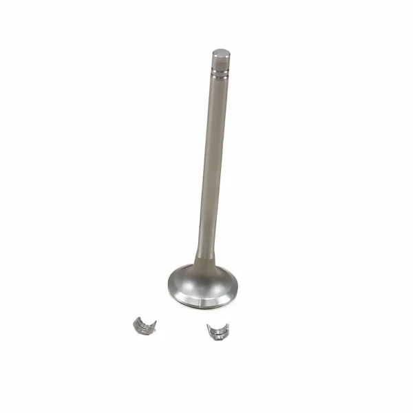 3803519-Exhaust-Valve-Kit-For-Cummins-NT855-NH855-Engines.242.3-1.webp 3803519-Exhaust-Valve-Kit-For-Cummins-NT855-NH855-Engines.242.3-1.webp