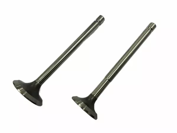3040830-Exhaust-Valve-for-Cummins-NTA855-Engines.244.3-1.webp