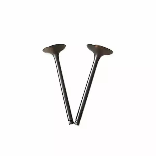 3802355-Cummins-Intake-Valve-Kit-For-4BT-6BT-Engines.333.3-1.webp 3802355-Cummins-Intake-Valve-Kit-For-4BT-6BT-Engines.333.3-1.webp