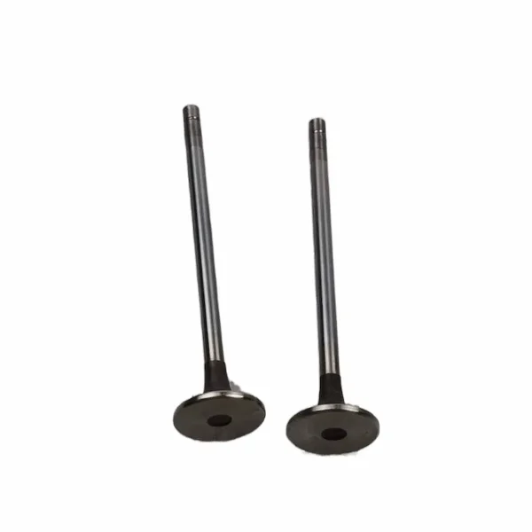 4955698-3000926-Intake-Valve-For-Cummins-NT855NTA855-Series-Engines.241.3-1.webp