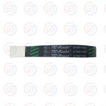 Golden dragon good quality belt